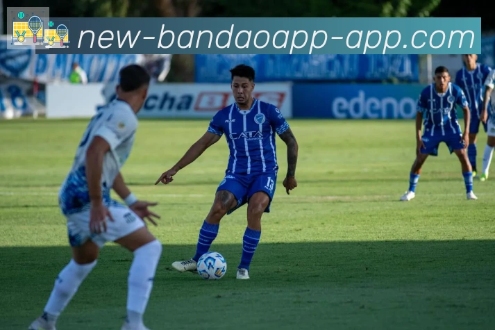 App 展示图